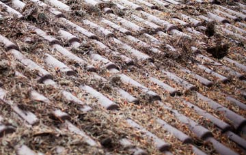 Holt Head roof cleaning companies